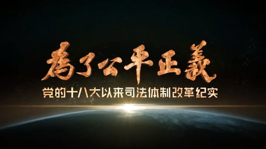 为了公平正义（2017年电视剧）