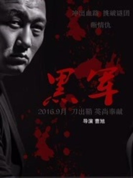 黑军剧情介绍（1-12全集）大结局_电视剧_电视猫