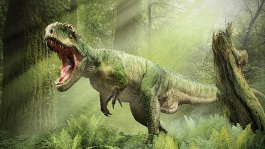 恐龙世界（2009年电视剧）