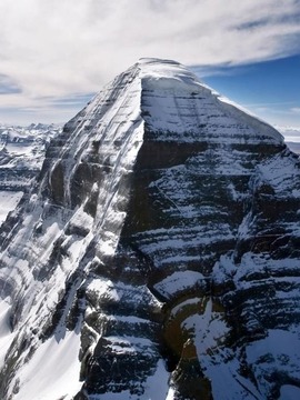 云雾之上：山区生态圈