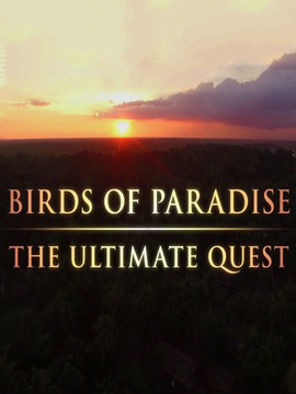 寻找天堂鸟之终极任务