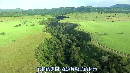 东非大裂谷（2010年电视剧）