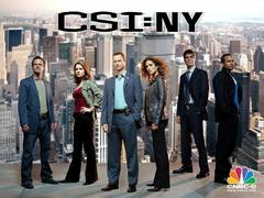 犯罪现场调查:纽约第九季 加里·西尼斯