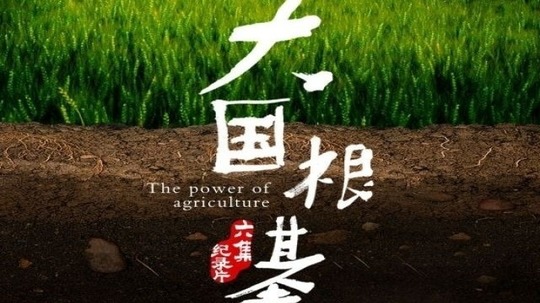 大国根基（2018年电视剧）