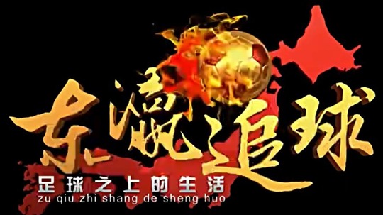 东瀛追球（2016年电视剧）