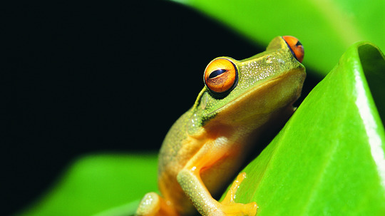 生命的循环（2018年电视剧）