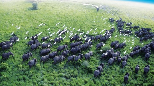 地球脉动（2006年电视剧）