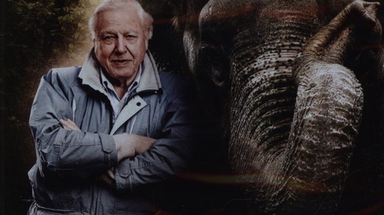 大卫&middot;爱登堡的自然奇迹（2015年电视剧）