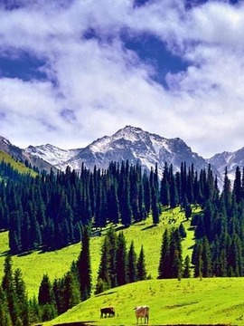 天山脚下