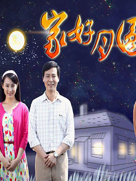 家好月圆（31集）
