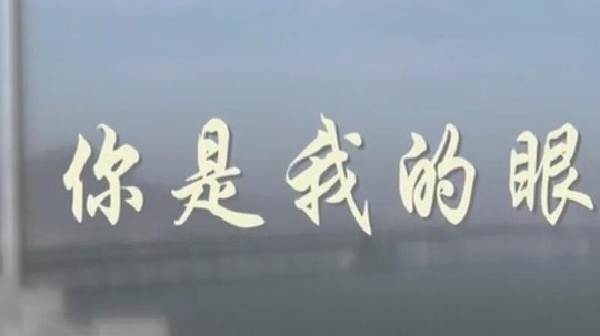 你是我的眼（2018年电视剧）