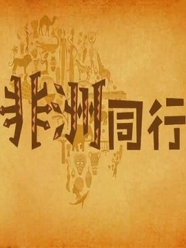 與非洲同行
