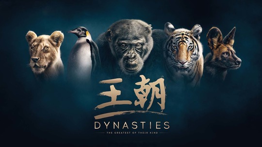 王朝（2018年电视剧）