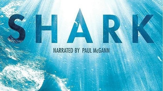 鲨鱼（2015年电视剧）