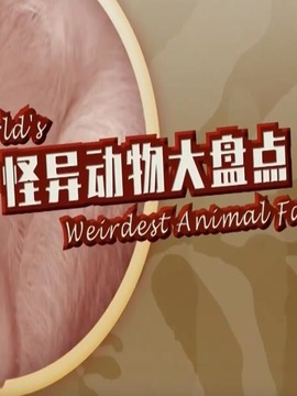 怪异动物大盘点