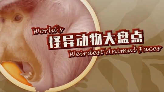 怪异动物大盘点（2019年电视剧）