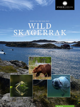 狂野斯卡格拉克海峡