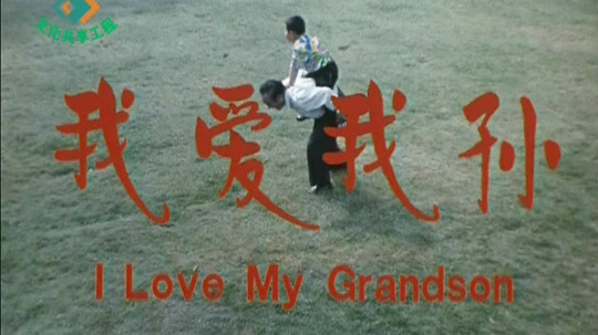 我爱我孙（2004年电视剧）