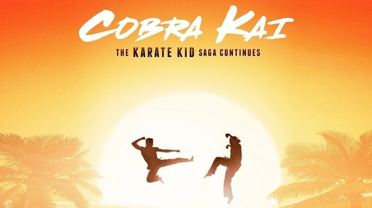 眼镜蛇第一季（2018年电视剧）