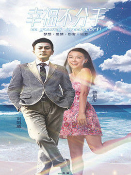 2014年|电视剧 现代都市爱情|共40集 导演:陶声|编剧:沈星妤|主演