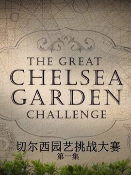 切尔西园艺挑战大赛
