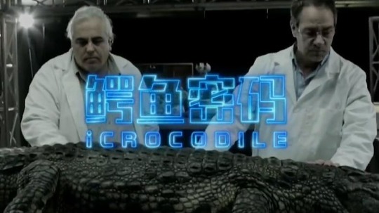 鳄鱼密码（2019年电视剧）