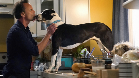 神兽（2019年电视剧）