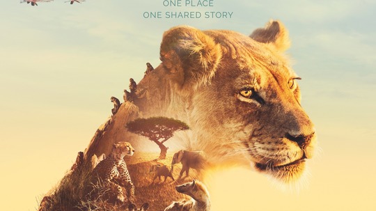 塞伦盖蒂（2019年电视剧）