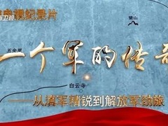 一个军的传奇