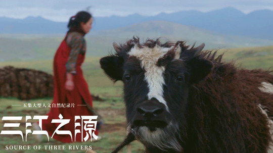 三江之源（2020年电视剧）