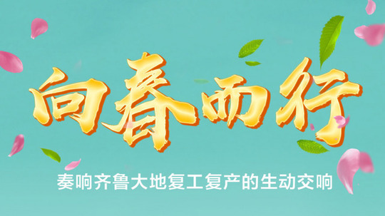 向春而行（2020年电视剧）