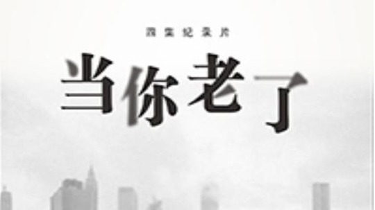 当你老了（2020年电视剧）