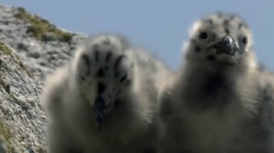 狂野西班牙（2019年电视剧）