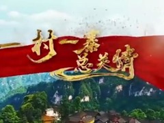 一村一寨总关情