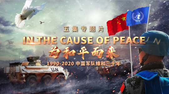 为和平而来（2020年电视剧）