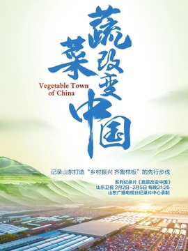 蔬菜改變中國