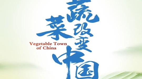 蔬菜改变中国（2021年电视剧）