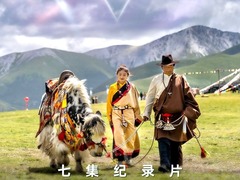 跑马溜溜的云上