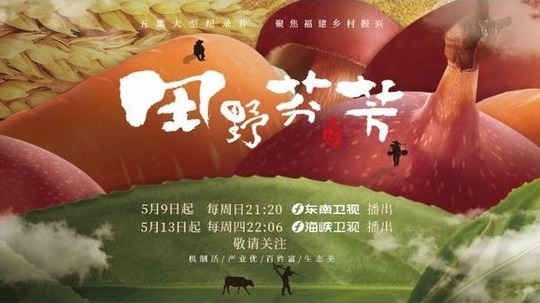 田野芬芳（2021年电视剧）