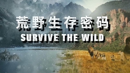 荒野生存密码（2021年电视剧）