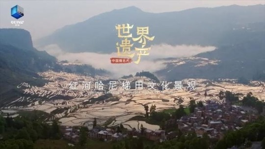 中国微名片·世界遗产（2021年电视剧）