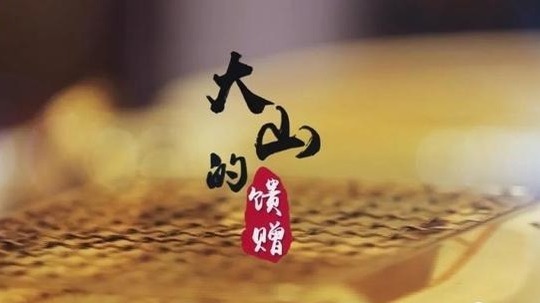 大山的馈赠（2021年电视剧）