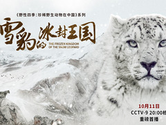 雪豹的冰封王国