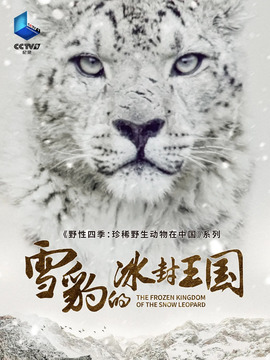 雪豹的冰封王国