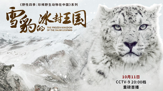 雪豹的冰封王国（2021年电视剧）