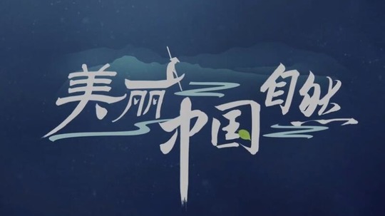 美丽中国：自然（2021年电视剧）