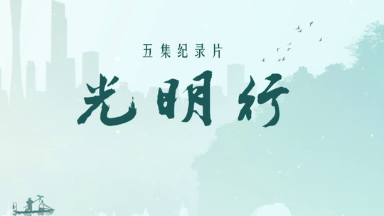 光明行（2021年电视剧）