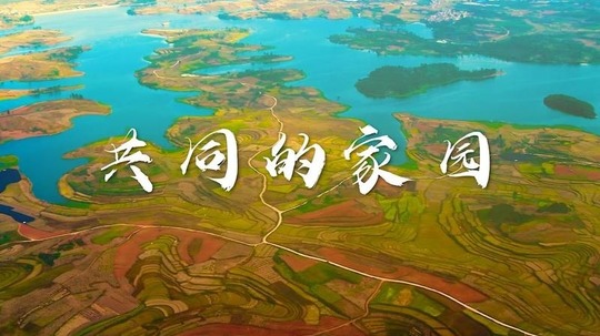 共同的家园（0年电视剧）