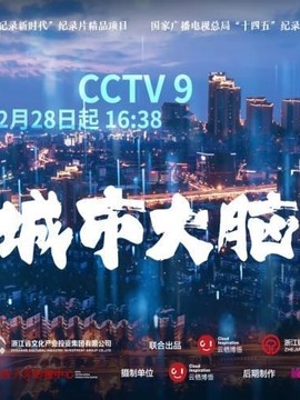 城市大脑