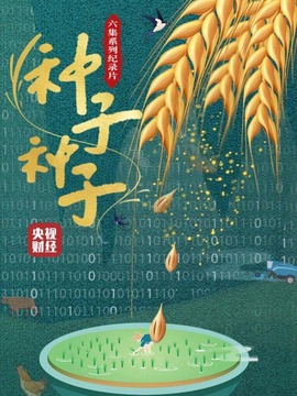 种子种子